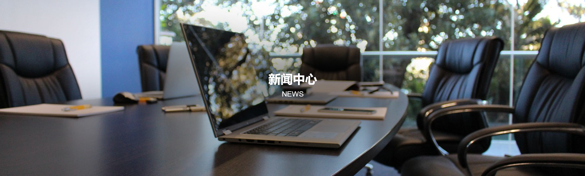 新闻动态